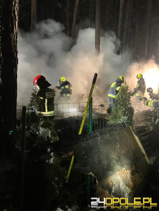 Pożar domku letniskowego w Turawie