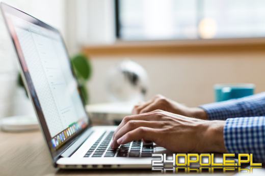 Czym są studia podyplomowe online? Na czym polegają?