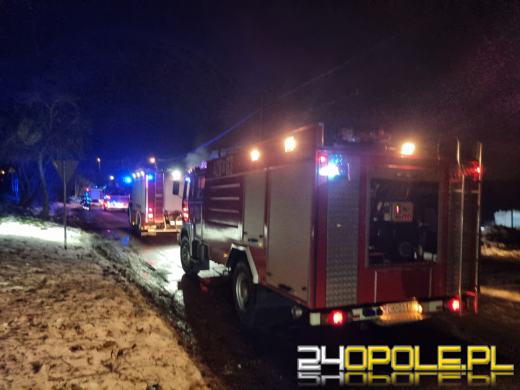 Pożar w Reńskiej Wsi. Działania strażaków trwają