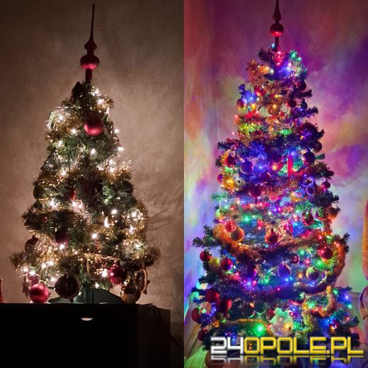 Czytelnicy pochwalili się swoimi pięknymi choinkami!