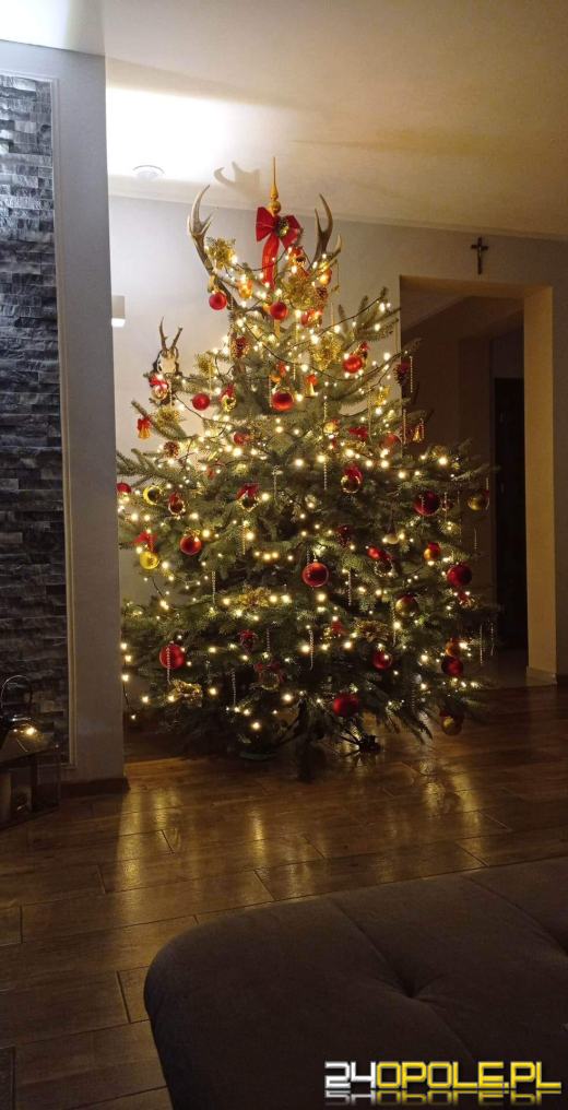 Czytelnicy pochwalili się swoimi pięknymi choinkami!