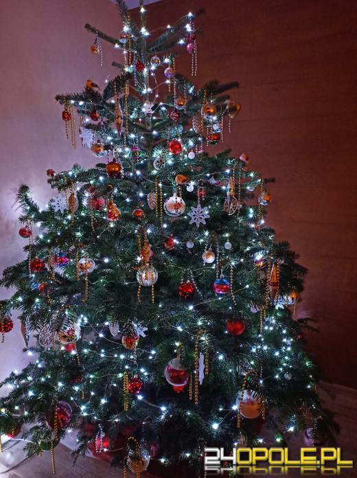 Czytelnicy pochwalili się swoimi pięknymi choinkami!