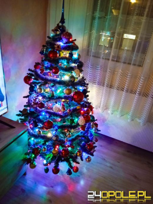 Czytelnicy pochwalili się swoimi pięknymi choinkami!