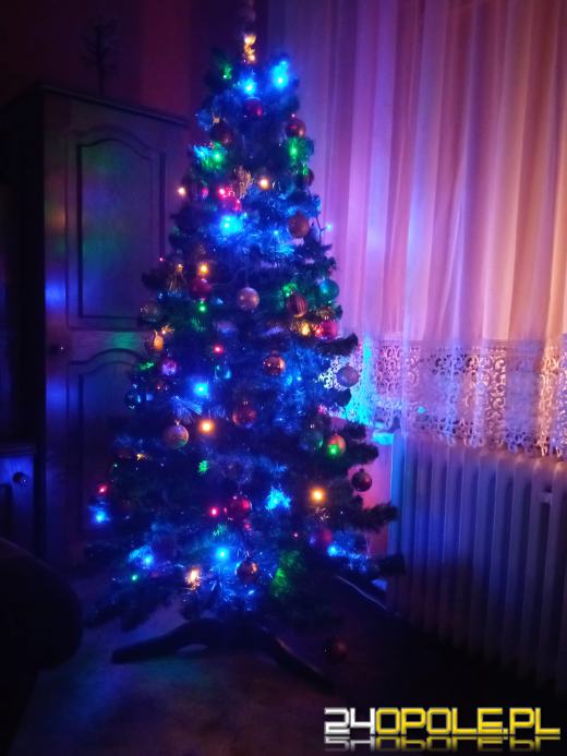 Czytelnicy pochwalili się swoimi pięknymi choinkami!