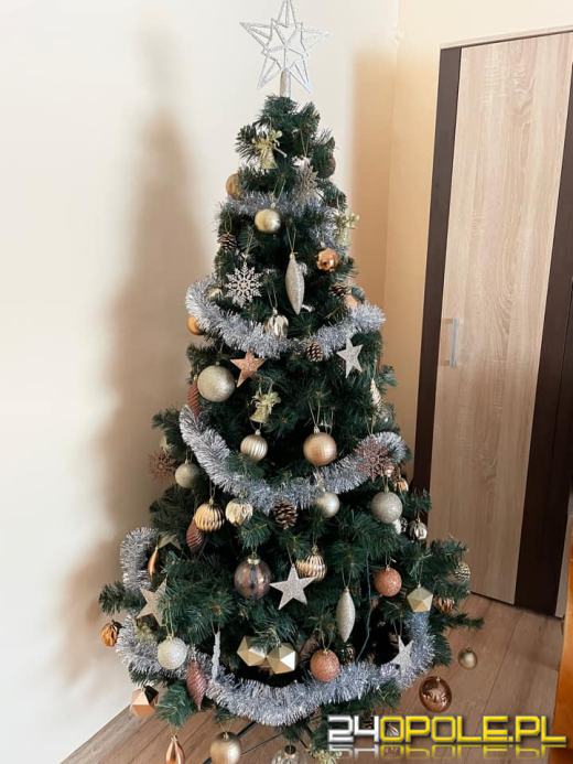 Czytelnicy pochwalili się swoimi pięknymi choinkami!