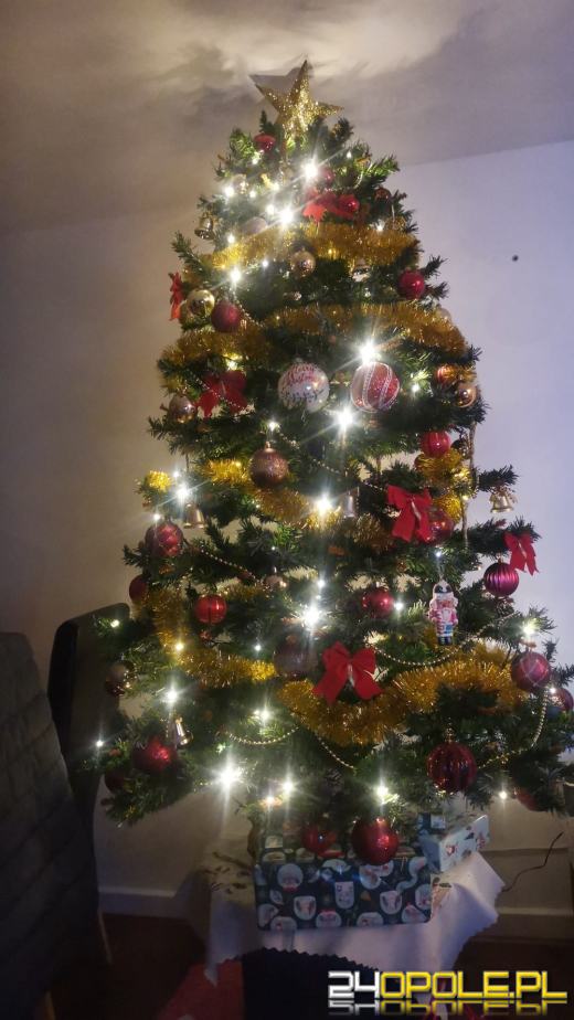 Czytelnicy pochwalili się swoimi pięknymi choinkami!