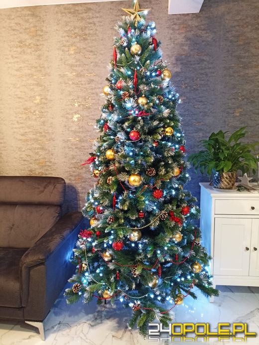 Czytelnicy pochwalili się swoimi pięknymi choinkami!