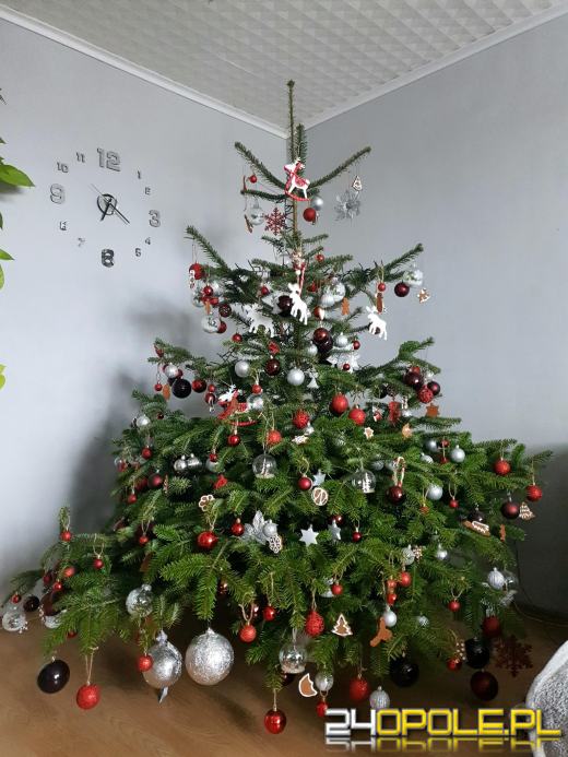 Czytelnicy pochwalili się swoimi pięknymi choinkami!