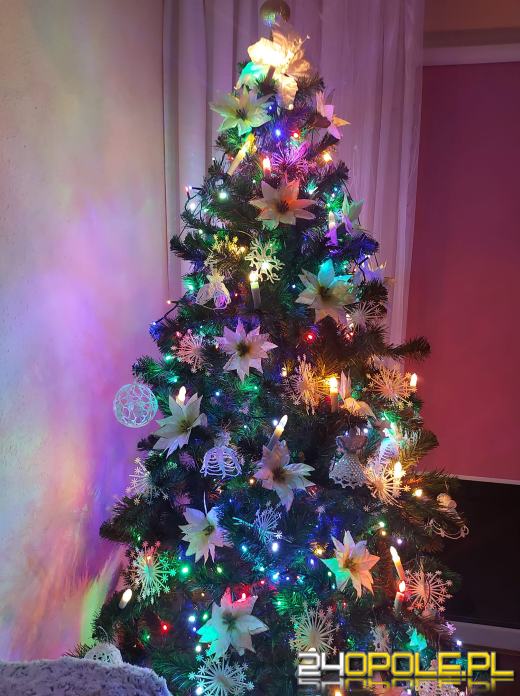 Czytelnicy pochwalili się swoimi pięknymi choinkami!