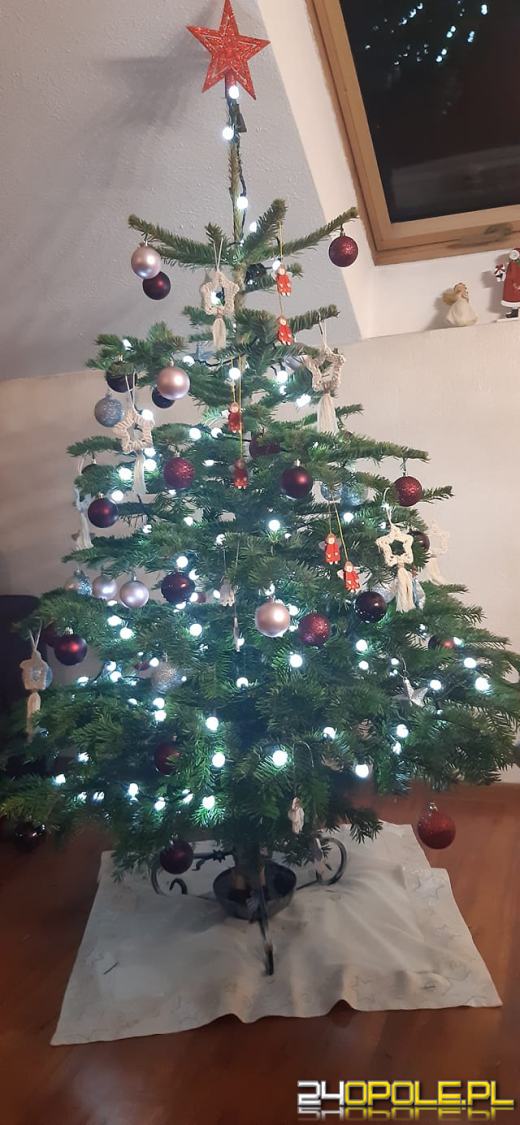 Czytelnicy pochwalili się swoimi pięknymi choinkami!