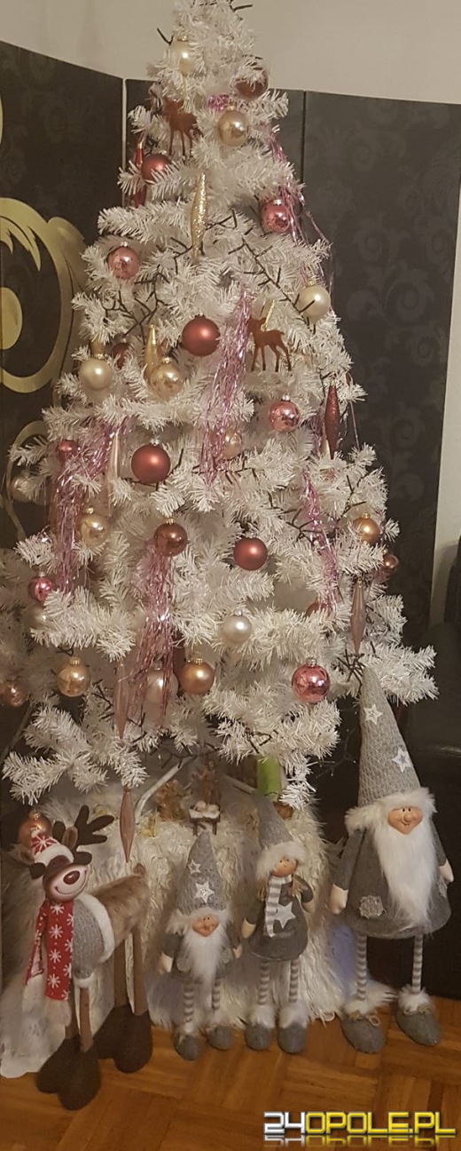 Czytelnicy pochwalili się swoimi pięknymi choinkami!