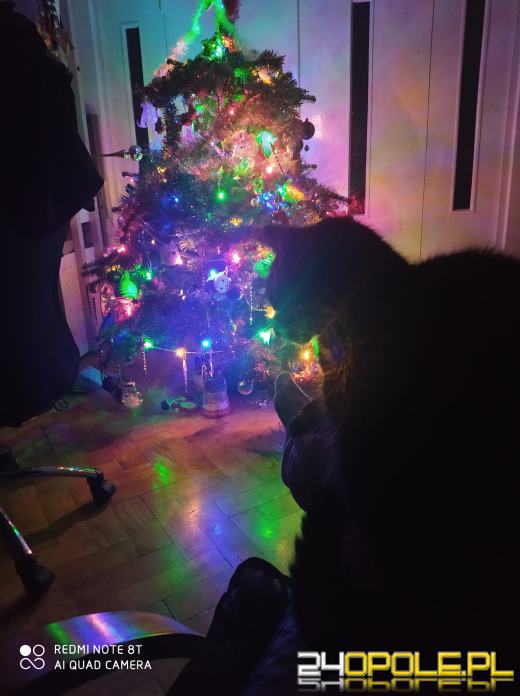 Czytelnicy pochwalili się swoimi pięknymi choinkami!