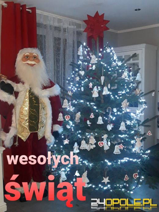 Czytelnicy pochwalili się swoimi pięknymi choinkami!