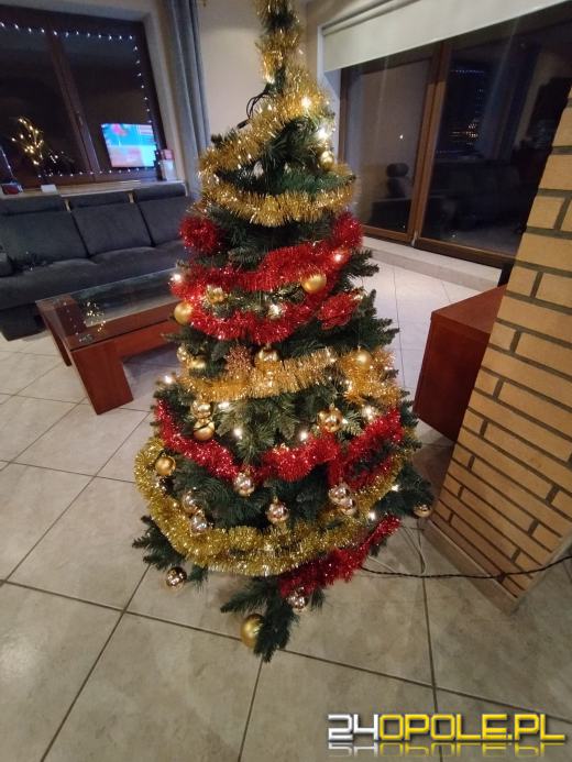 Czytelnicy pochwalili się swoimi pięknymi choinkami!