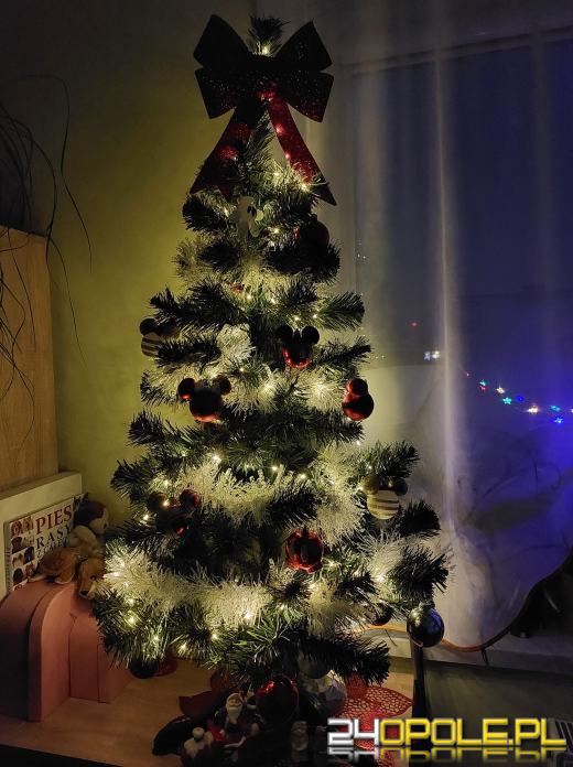 Czytelnicy pochwalili się swoimi pięknymi choinkami!