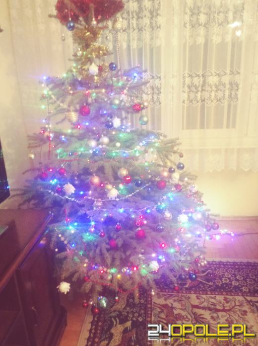 Czytelnicy pochwalili się swoimi pięknymi choinkami!