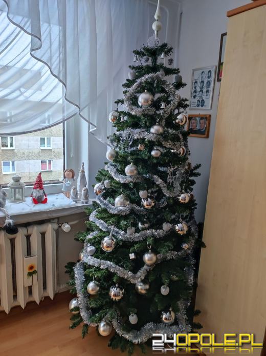Czytelnicy pochwalili się swoimi pięknymi choinkami!