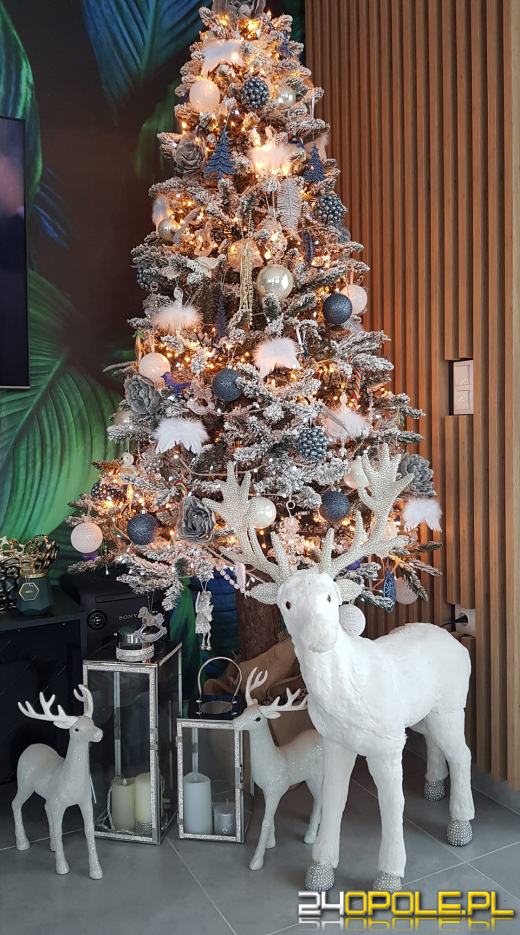 Czytelnicy pochwalili się swoimi pięknymi choinkami!