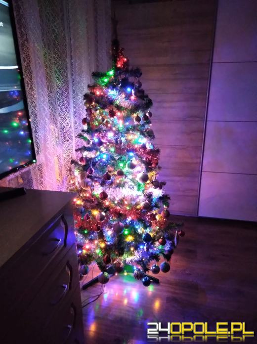 Czytelnicy pochwalili się swoimi pięknymi choinkami!