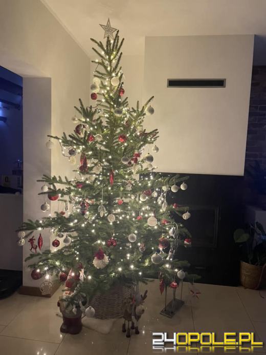 Czytelnicy pochwalili się swoimi pięknymi choinkami!