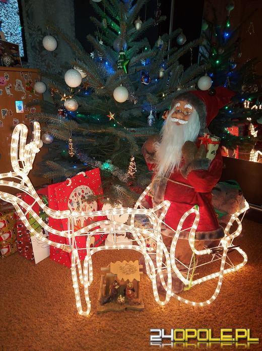 Czytelnicy pochwalili się swoimi pięknymi choinkami!