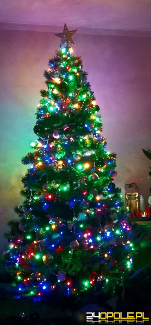 Czytelnicy pochwalili się swoimi pięknymi choinkami!