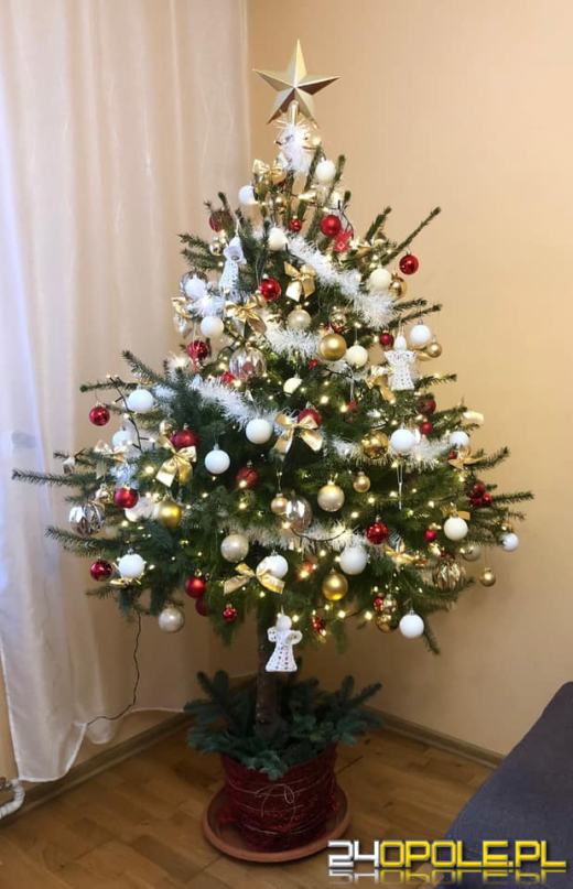 Czytelnicy pochwalili się swoimi pięknymi choinkami!