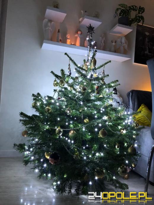 Czytelnicy pochwalili się swoimi pięknymi choinkami!