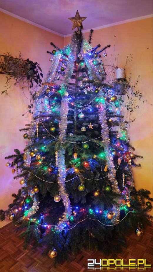 Czytelnicy pochwalili się swoimi pięknymi choinkami!