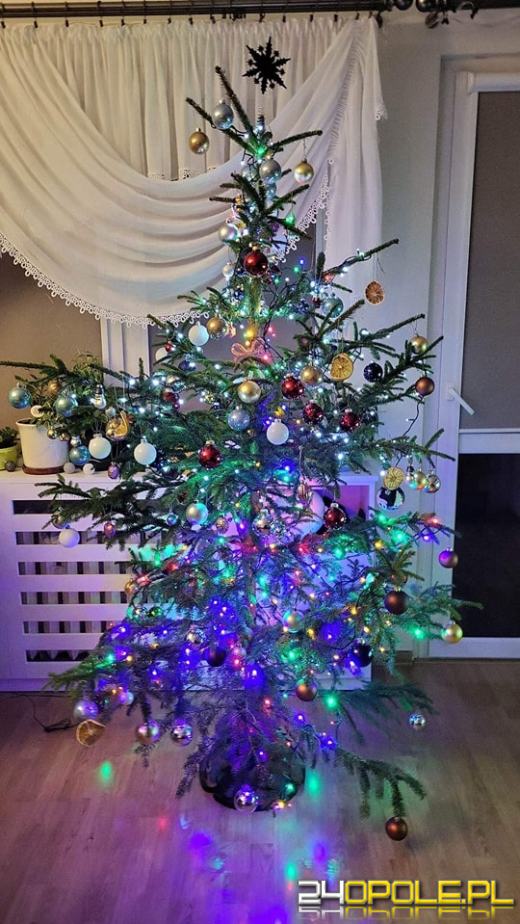 Czytelnicy pochwalili się swoimi pięknymi choinkami!