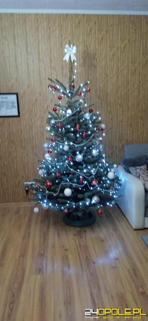Czytelnicy pochwalili się swoimi pięknymi choinkami!