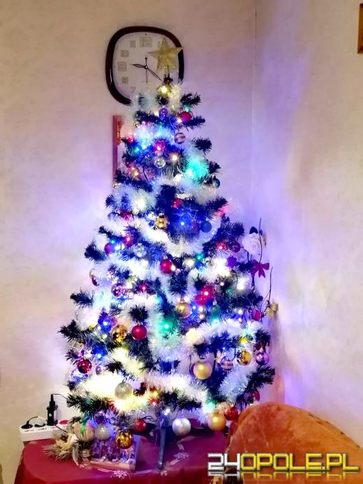 Czytelnicy pochwalili się swoimi pięknymi choinkami!