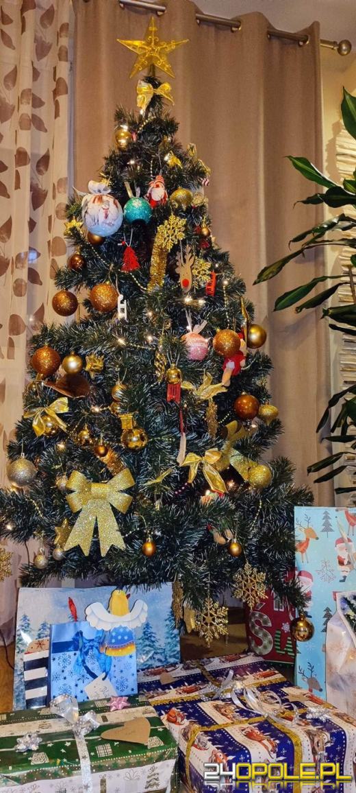 Czytelnicy pochwalili się swoimi pięknymi choinkami!
