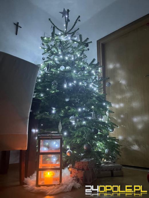 Czytelnicy pochwalili się swoimi pięknymi choinkami!