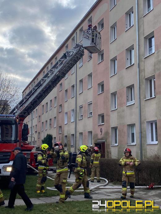 Pożar mieszkania w Brzegu. Ewakuowano mieszkańców 