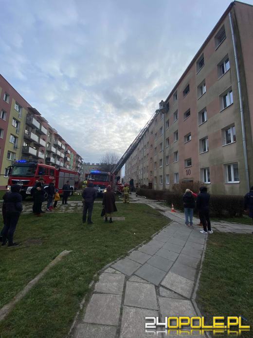 Pożar mieszkania w Brzegu. Ewakuowano mieszkańców 