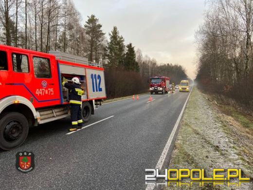 Wypadek samochodu osobowego w powiecie krapkowickim