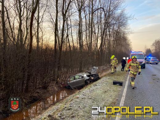 Wypadek samochodu osobowego w powiecie krapkowickim