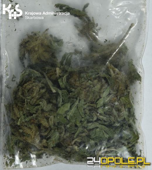 Narkotyki u poszukiwanego do odbycia kary pozbawienia wolności