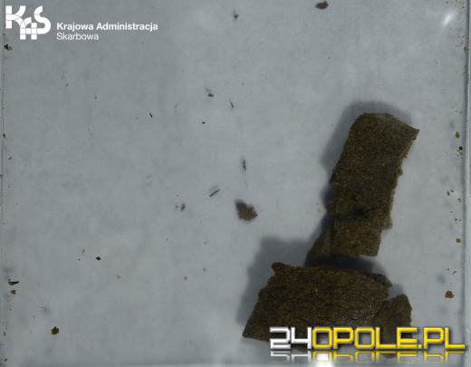 Narkotyki u poszukiwanego do odbycia kary pozbawienia wolności