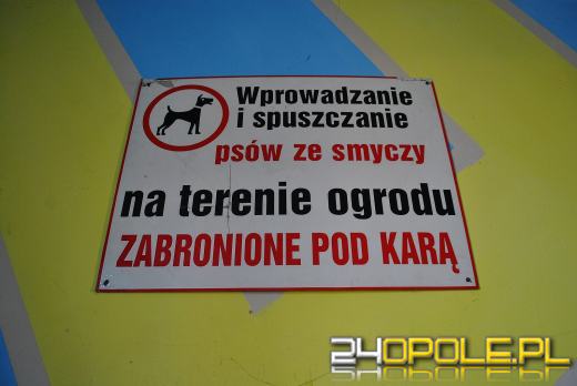 Bursa na Struga zdobędzie nowego właściciela? Jest jeden chętny