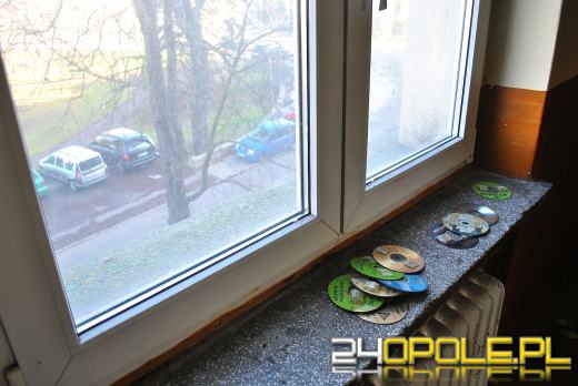 Bursa na Struga zdobędzie nowego właściciela? Jest jeden chętny