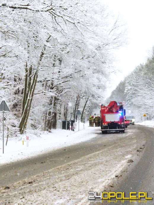 Dwa busy zderzyły się na obwodnicy Osowca