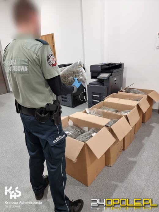 68 kg marihuany w busie na A4