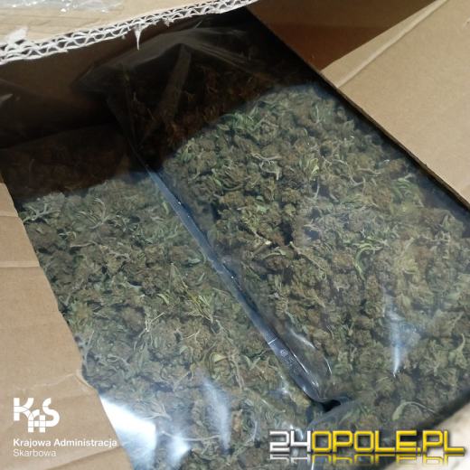 68 kg marihuany w busie na A4