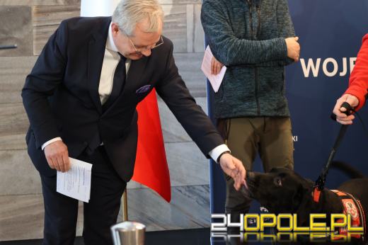 Ktoś truje psy w gminie Komprachcice? Reaguje wojewoda 