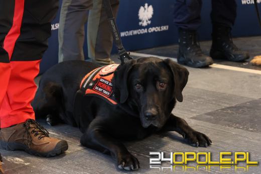 Ktoś truje psy w gminie Komprachcice? Reaguje wojewoda 