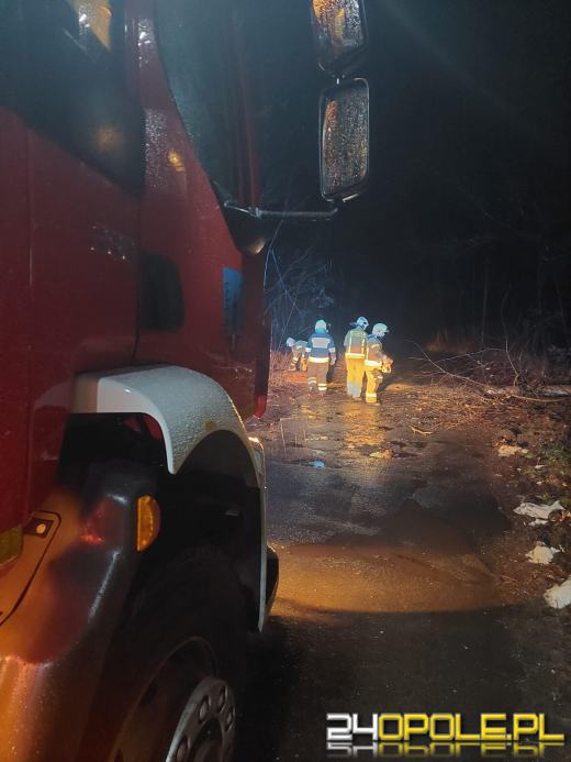 Silny wiatr będzie się utrzymywał. Strażacy interweniują w powiecie