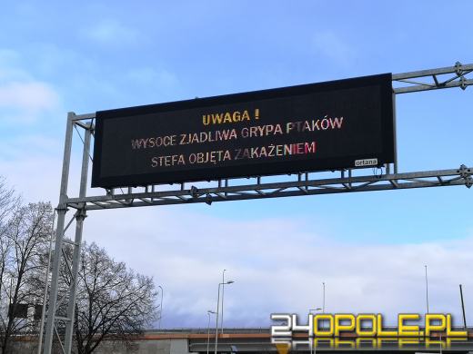 PSL: W Opolu panuje grypa ptaków, a Janusz Kowalski liczy miejsca parkingowe