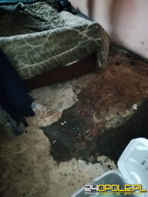 W gminie Lubsza umierają koty. Drastyczny widok zastały wolontariuszki TOZ-u